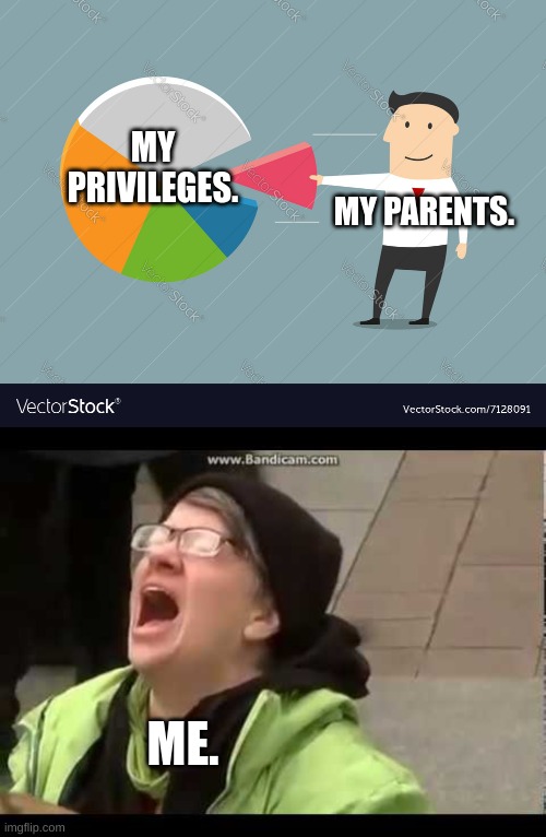  MY PARENTS. MY PRIVILEGES. ME. | image tagged in reeeeeeeeeeeeeeeeeeee,funny,no god no god please no | made w/ Imgflip meme maker
