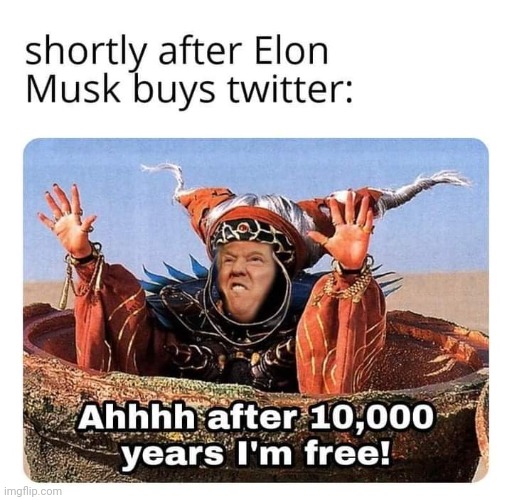 Belzeboobs is free again! | image tagged in conservative,republican,trump,elon musk,democrat,liberal | made w/ Imgflip meme maker