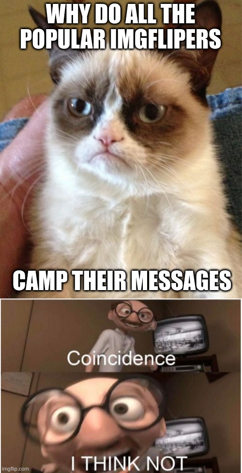 WHY DO ALL THE POPULAR IMGFLIPERS; CAMP THEIR MESSAGES | image tagged in memes,grumpy cat,coincidence i think not | made w/ Imgflip meme maker