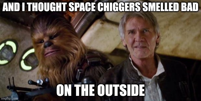 space chiggers | AND I THOUGHT SPACE CHIGGERS SMELLED BAD; ON THE OUTSIDE | image tagged in old han and chewie | made w/ Imgflip meme maker