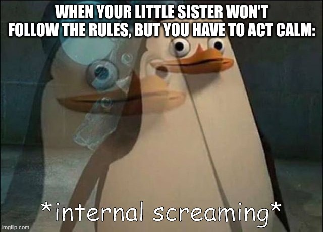 *Screeching Noises* | WHEN YOUR LITTLE SISTER WON'T FOLLOW THE RULES, BUT YOU HAVE TO ACT CALM: | image tagged in private internal screaming | made w/ Imgflip meme maker