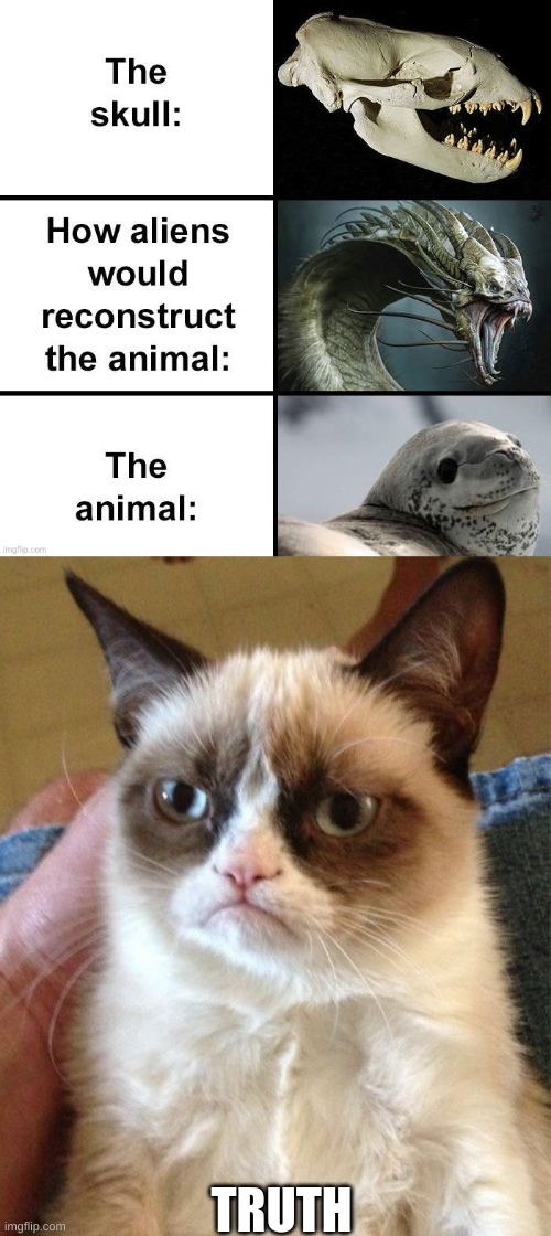 TRUTH | image tagged in memes,grumpy cat,truth | made w/ Imgflip meme maker
