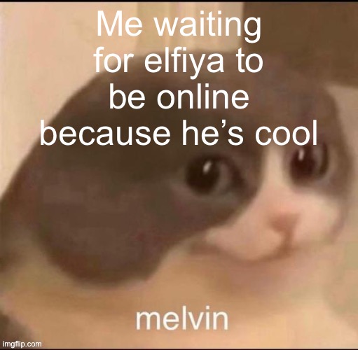 melvin | Me waiting for elfiya to be online because he’s cool | image tagged in melvin | made w/ Imgflip meme maker
