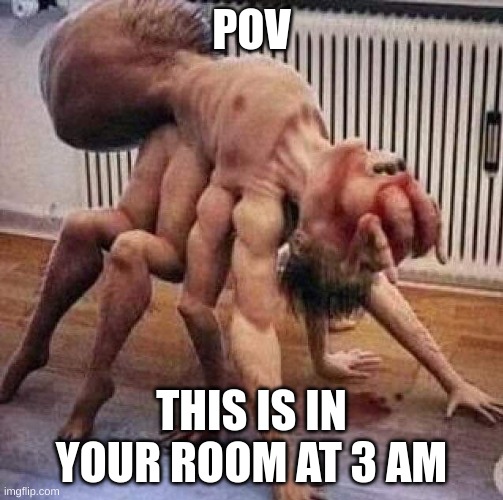 wdyd | POV; THIS IS IN YOUR ROOM AT 3 AM | image tagged in cursed image | made w/ Imgflip meme maker
