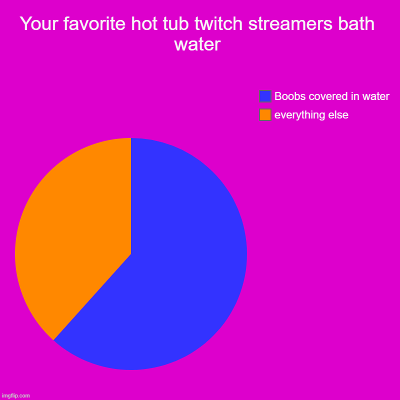 Your favorite hot tub twitch streamers bath water | everything else, Boobs covered in water | image tagged in charts,pie charts | made w/ Imgflip chart maker