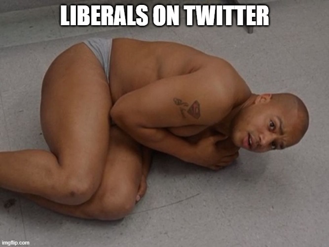 LIBERALS ON TWITTER | made w/ Imgflip meme maker