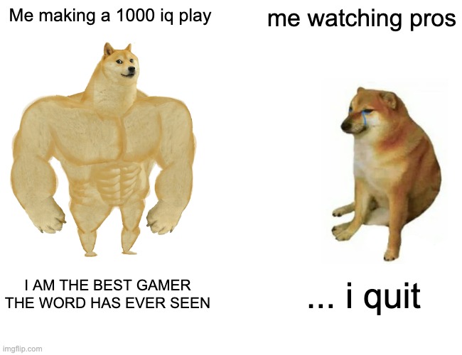 Buff Doge vs. Cheems |  Me making a 1000 iq play; me watching pros; I AM THE BEST GAMER THE WORD HAS EVER SEEN; ... i quit | image tagged in memes,buff doge vs cheems,gamer,pro | made w/ Imgflip meme maker