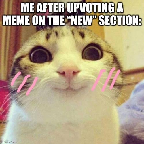 Yay | ME AFTER UPVOTING A MEME ON THE “NEW” SECTION: | image tagged in memes,smiling cat,fun,happy,upvote,being nice | made w/ Imgflip meme maker