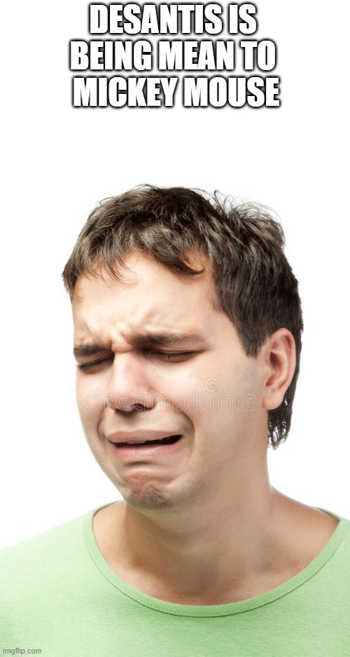 DESANTIS IS 
BEING MEAN TO 
MICKEY MOUSE | made w/ Imgflip meme maker