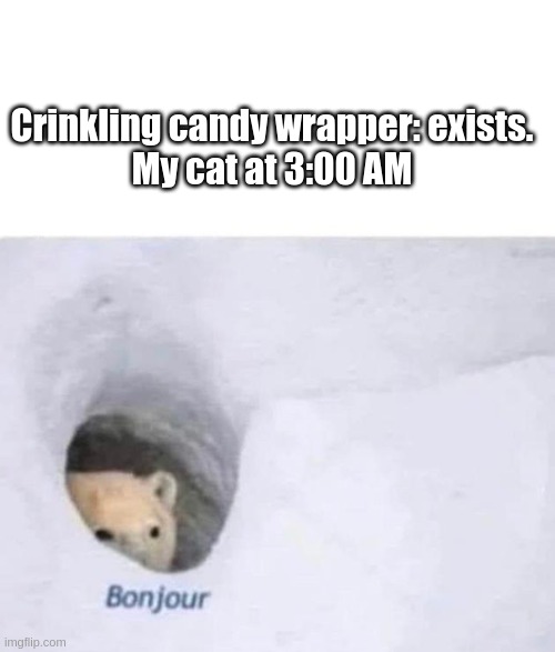 Bonjour | Crinkling candy wrapper: exists.

My cat at 3:00 AM | image tagged in bonjour | made w/ Imgflip meme maker