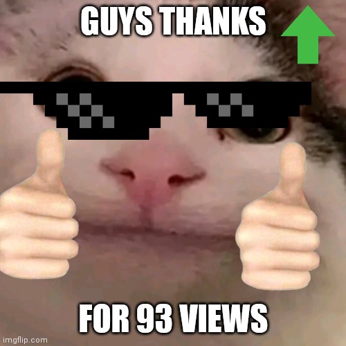 Thanks For 93 Views | GUYS THANKS; FOR 93 VIEWS | image tagged in beluga | made w/ Imgflip meme maker