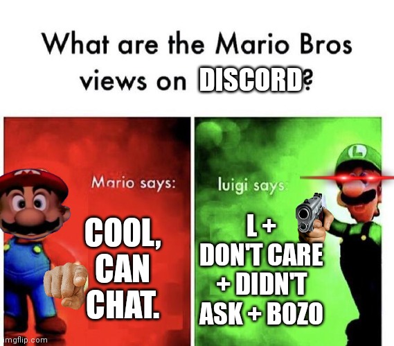 Discord, Mario Meme | DISCORD; COOL, CAN CHAT. L + DON'T CARE + DIDN'T ASK + BOZO | image tagged in mario bros views | made w/ Imgflip meme maker