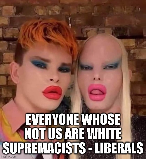 no wierdos | EVERYONE WHOSE NOT US ARE WHITE SUPREMACISTS - LIBERALS | image tagged in no wierdos | made w/ Imgflip meme maker