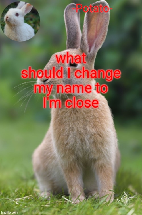 to your location | what should I change my name to
I'm close | image tagged in -potato- rabbit announcement | made w/ Imgflip meme maker