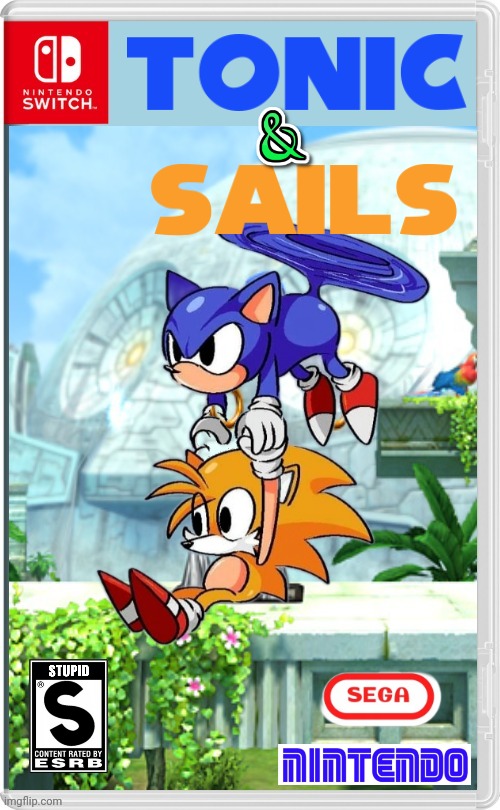 SONIC AND TAILS IN ANOTHER DIMENSION | image tagged in sonic the hedgehog,tails,sega,nintendo switch,fake switch games | made w/ Imgflip meme maker