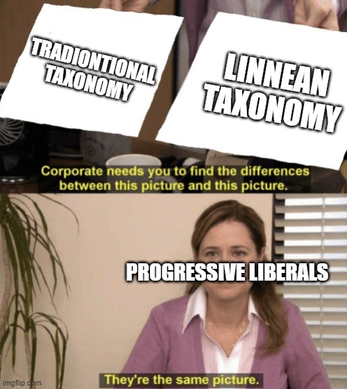 Liberal progressives know nothing of taxonomy: | TRADIONTIONAL TAXONOMY; LINNEAN TAXONOMY; PROGRESSIVE LIBERALS | image tagged in corporate needs you to find the differences,biology,stupid liberals | made w/ Imgflip meme maker