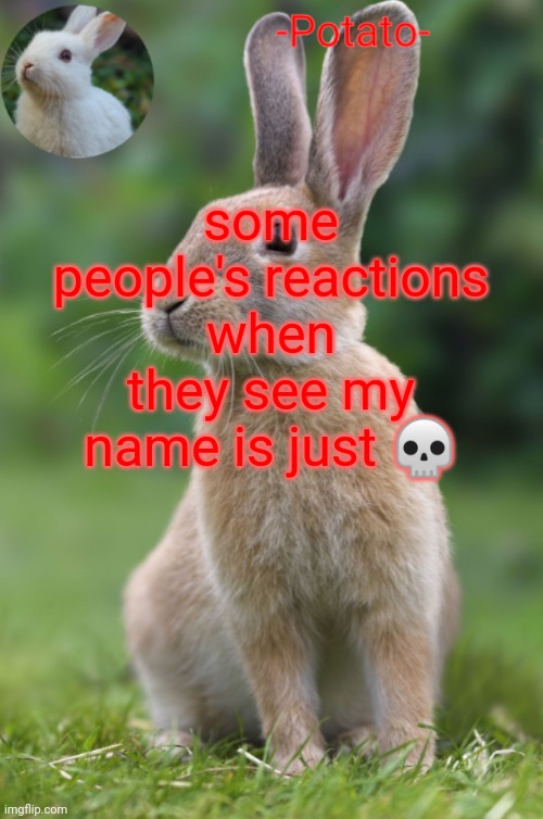 e | some people's reactions when they see my name is just 💀 | image tagged in -potato- rabbit announcement | made w/ Imgflip meme maker