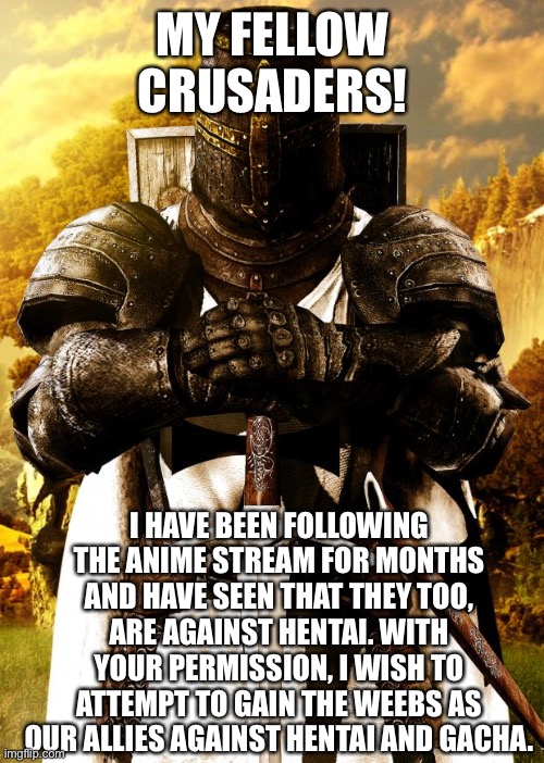 This could be a game changing opportunity | MY FELLOW CRUSADERS! I HAVE BEEN FOLLOWING THE ANIME STREAM FOR MONTHS AND HAVE SEEN THAT THEY TOO, ARE AGAINST HENTAI. WITH YOUR PERMISSION, I WISH TO ATTEMPT TO GAIN THE WEEBS AS OUR ALLIES AGAINST HENTAI AND GACHA. | image tagged in crusader | made w/ Imgflip meme maker