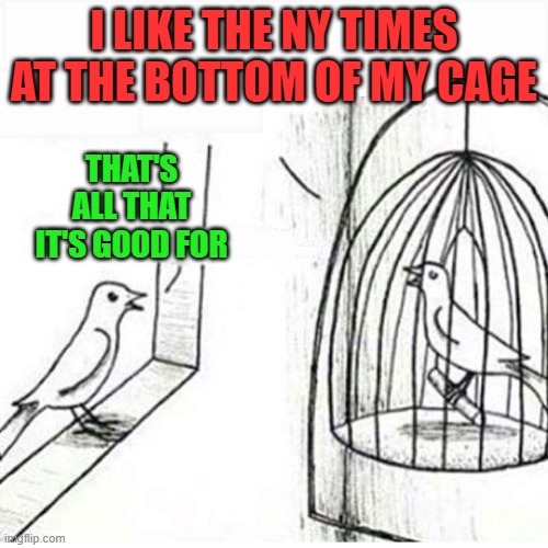 Bird in a cage | I LIKE THE NY TIMES AT THE BOTTOM OF MY CAGE THAT'S ALL THAT IT'S GOOD FOR | image tagged in bird in a cage | made w/ Imgflip meme maker