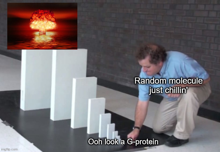 It's called a signaling "cascade" for a reason |  Random molecule just chillin'; Ooh look a G-protein | image tagged in domino effect,chemistry,biology | made w/ Imgflip meme maker