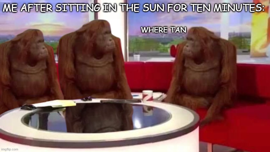 :eyes: | ME AFTER SITTING IN THE SUN FOR TEN MINUTES:; WHERE TAN | image tagged in where monkey | made w/ Imgflip meme maker