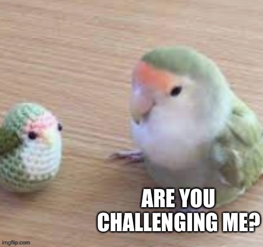 ARE YOU CHALLENGING ME? | made w/ Imgflip meme maker