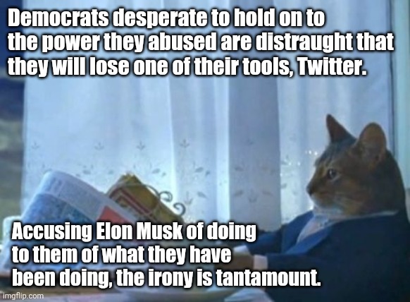 Irony | Democrats desperate to hold on to the power they abused are distraught that they will lose one of their tools, Twitter. Accusing Elon Musk of doing to them of what they have been doing, the irony is tantamount. | image tagged in memes,i should buy a boat cat | made w/ Imgflip meme maker