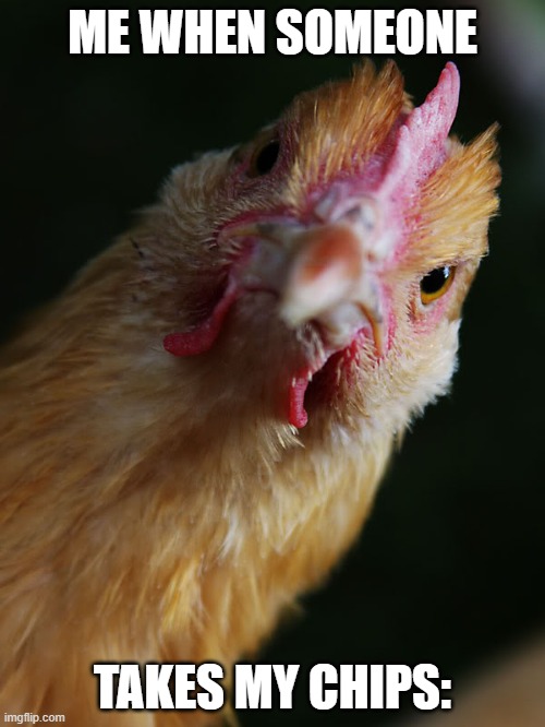 Staring Chicken | ME WHEN SOMEONE; TAKES MY CHIPS: | image tagged in chicken angry | made w/ Imgflip meme maker