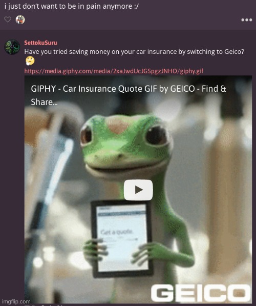 Kistu truly is an experience | made w/ Imgflip meme maker