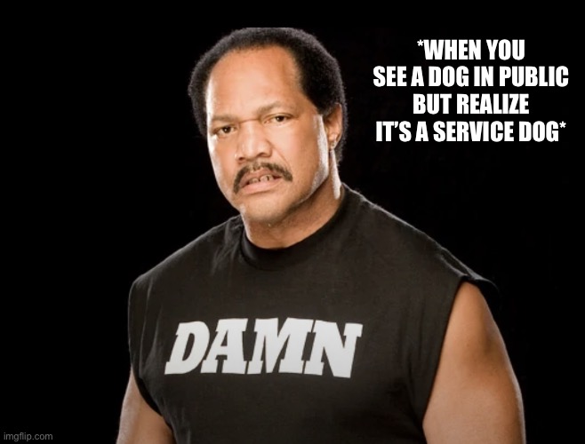 When You See A Dog In Public | *WHEN YOU SEE A DOG IN PUBLIC BUT REALIZE IT’S A SERVICE DOG* | image tagged in farooq damn,dogs,service dog,damn,funny memes | made w/ Imgflip meme maker