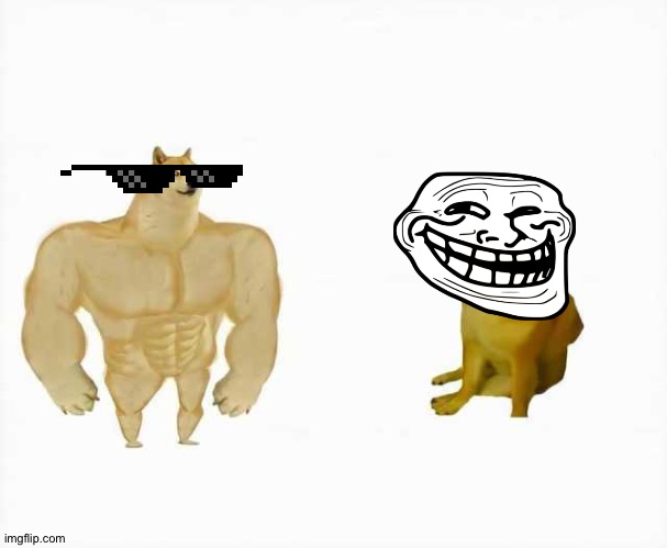 Strong dog vs weak dog | image tagged in strong dog vs weak dog | made w/ Imgflip meme maker