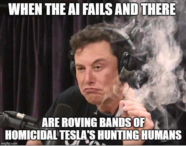 Elon Musk smoking a joint | WHEN THE AI FAILS AND THERE; ARE ROVING BANDS OF HOMICIDAL TESLA'S HUNTING HUMANS | image tagged in elon musk smoking a joint | made w/ Imgflip meme maker