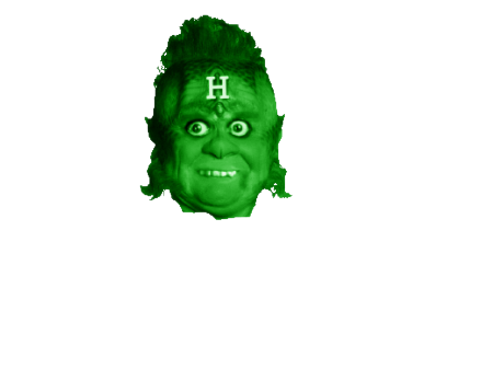 Gowrix Green Head Transparent Blank Meme Template