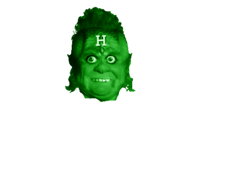 High Quality Gowrix Green Head Transparent Blank Meme Template