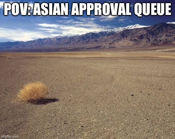 desert tumbleweed | POV: ASIAN APPROVAL QUEUE | image tagged in desert tumbleweed | made w/ Imgflip meme maker