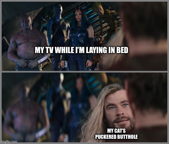 My Cat (Corrected) | MY TV WHILE I’M LAYING IN BED; MY CAT’S PUCKERED BUTTHOLE | image tagged in thor love and thunder | made w/ Imgflip meme maker