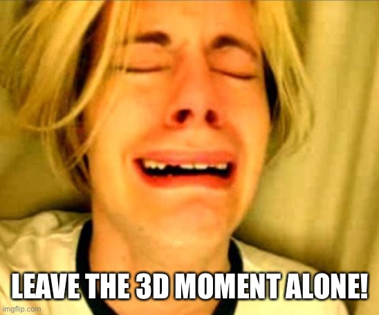 Leave Britney Alone | LEAVE THE 3D MOMENT ALONE! | image tagged in leave britney alone | made w/ Imgflip meme maker