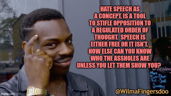 Roll Safe Think About It | HATE SPEECH AS A CONCEPT, IS A TOOL TO STIFLE OPPOSITION TO A REGULATED ORDER OF THOUGHT.  SPEECH IS EITHER FREE OR IT ISN'T.  HOW ELSE CAN YOU KNOW WHO THE ASSHOLES ARE UNLESS YOU LET THEM SHOW YOU? @WilmaFingersdoo | image tagged in memes,roll safe think about it,free speech | made w/ Imgflip meme maker