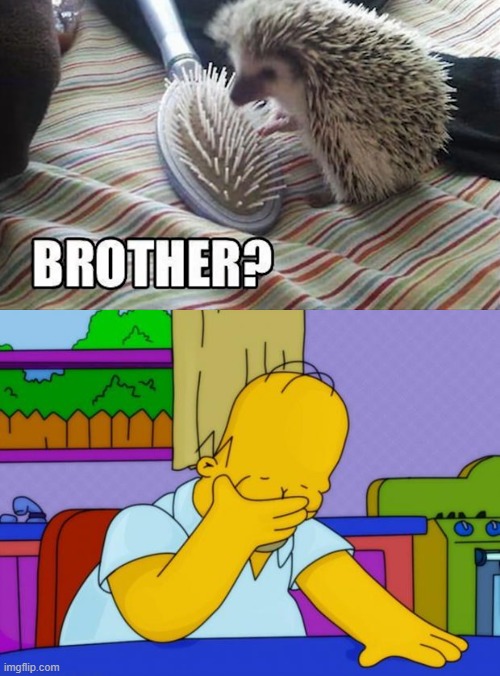 image tagged in smh homer,puns,bad pun | made w/ Imgflip meme maker