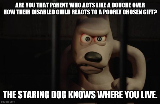 ARE YOU THAT PARENT WHO ACTS LIKE A DOUCHE OVER HOW THEIR DISABLED CHILD REACTS TO A POORLY CHOSEN GIFT? THE STARING DOG KNOWS WHERE YOU LIV | image tagged in staring dog | made w/ Imgflip meme maker