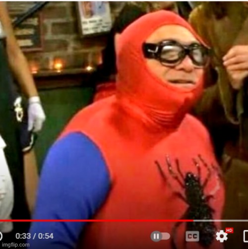 just an extremely cursed cosplayer | image tagged in spiderman,cursed image | made w/ Imgflip meme maker