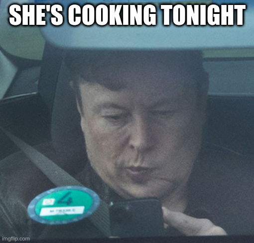 on second thought, take out it is | SHE'S COOKING TONIGHT | image tagged in twatter | made w/ Imgflip meme maker