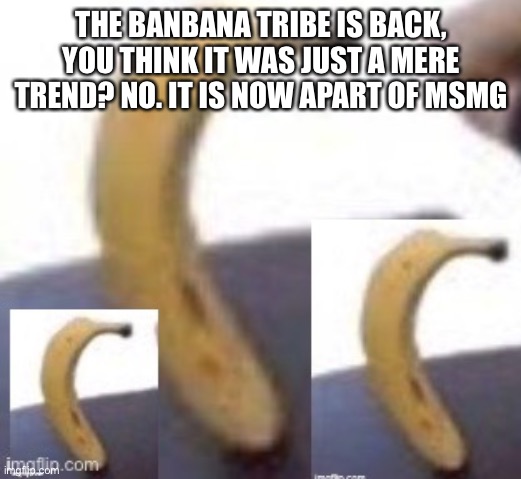 THE BANBANA TRIBE IS BACK, YOU THINK IT WAS JUST A MERE TREND? NO. IT IS NOW APART OF MSMG | made w/ Imgflip meme maker