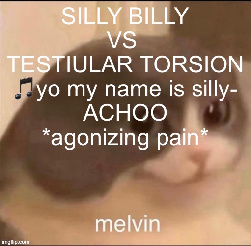 melvin | SILLY BILLY
VS 
TESTIULAR TORSION
🎵yo my name is silly-
ACHOO
*agonizing pain* | image tagged in melvin | made w/ Imgflip meme maker