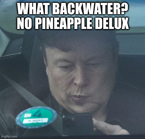 Twatter | WHAT BACKWATER?
NO PINEAPPLE DELUX | image tagged in twatter | made w/ Imgflip meme maker