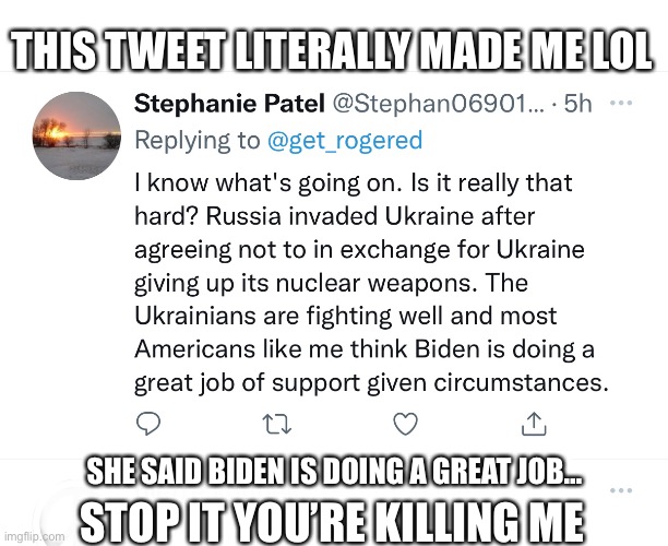 These people actually believe Boden’s in charge | THIS TWEET LITERALLY MADE ME LOL; SHE SAID BIDEN IS DOING A GREAT JOB…; STOP IT YOU’RE KILLING ME | image tagged in joe biden,dementia,lost cause | made w/ Imgflip meme maker