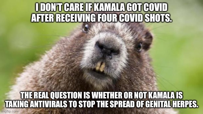 Kamala Harris may be bedridden, but not for COVID. | I DON’T CARE IF KAMALA GOT COVID
AFTER RECEIVING FOUR COVID SHOTS. THE REAL QUESTION IS WHETHER OR NOT KAMALA IS TAKING ANTIVIRALS TO STOP THE SPREAD OF GENITAL HERPES. | image tagged in mr beaver,kamala harris,dirty joke,covid,herpes,drugs | made w/ Imgflip meme maker