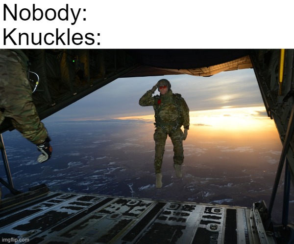 Spoiler Warning | Nobody:
Knuckles: | image tagged in army soldier jumping out of plane | made w/ Imgflip meme maker