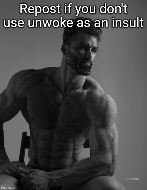 Giga Chad | Repost if you don't use unwoke as an insult | image tagged in giga chad | made w/ Imgflip meme maker