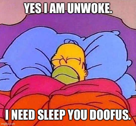 Unwoke?  Unsleepy? | YES I AM UNWOKE. I NEED SLEEP YOU DOOFUS. | image tagged in homer simpson sleeping peacefully | made w/ Imgflip meme maker